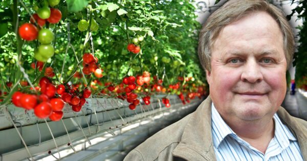 Vít Syrový 2. díl: Proč bychom měli jíst hydroponovaná rajčata, jež neviděla zemi ani slunce, a je v nich chemie?