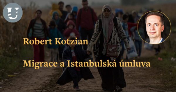 Robert Kotzian: Migrace a Istanbulská úmluva