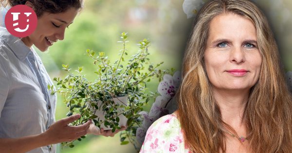 Radka Svatošová 1. díl: Rostliny komunikují a reagují na naše emoce, věda potvrzuje to, co naši předci dávno věděli